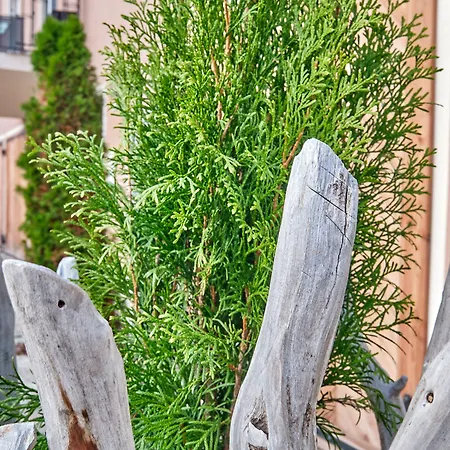 Boutique-hotel Am Ledererturm Hotell